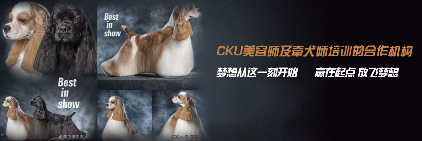 微信截圖_20190612172357.png