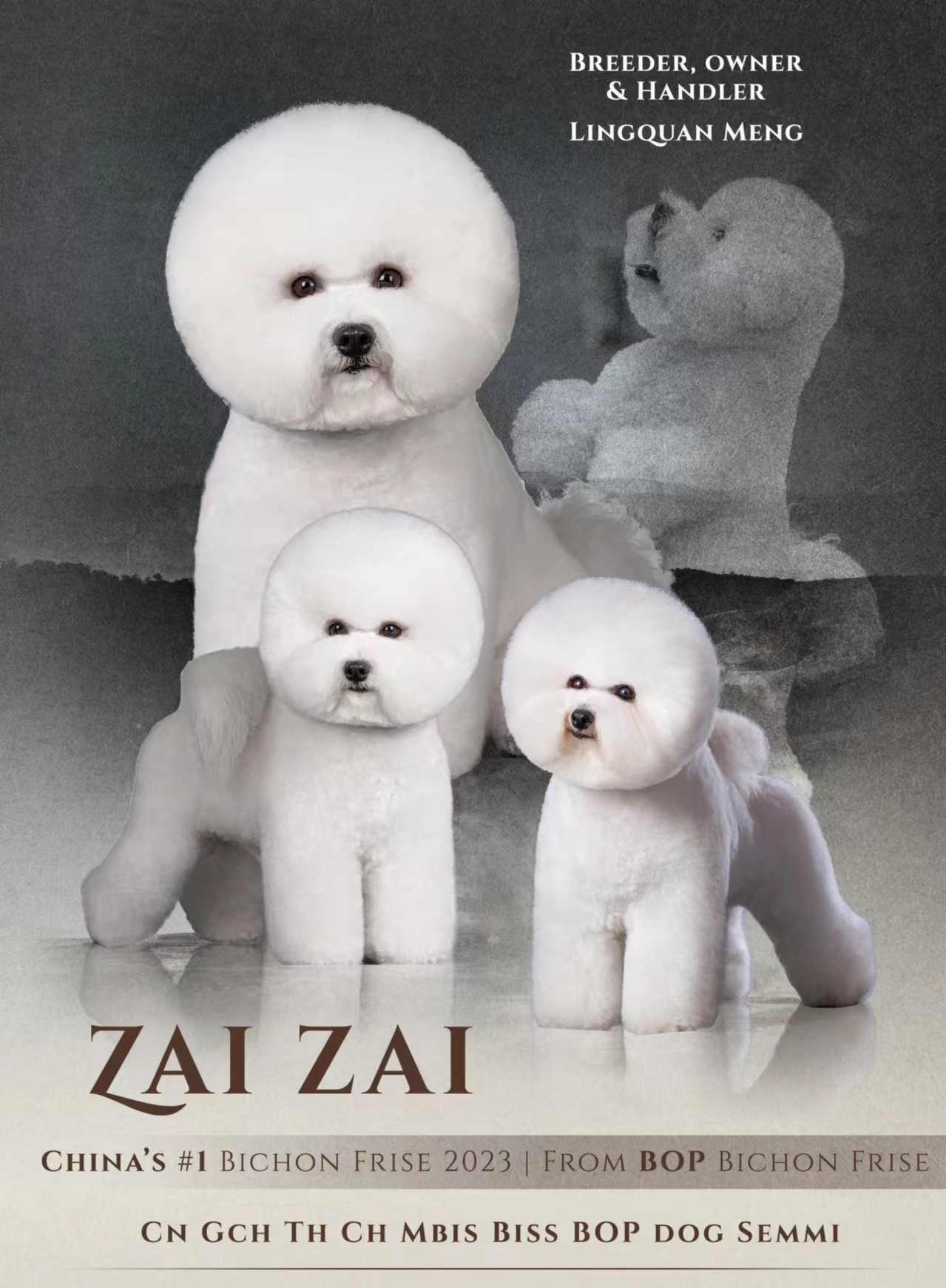 微信圖片_20240326095530.jpg